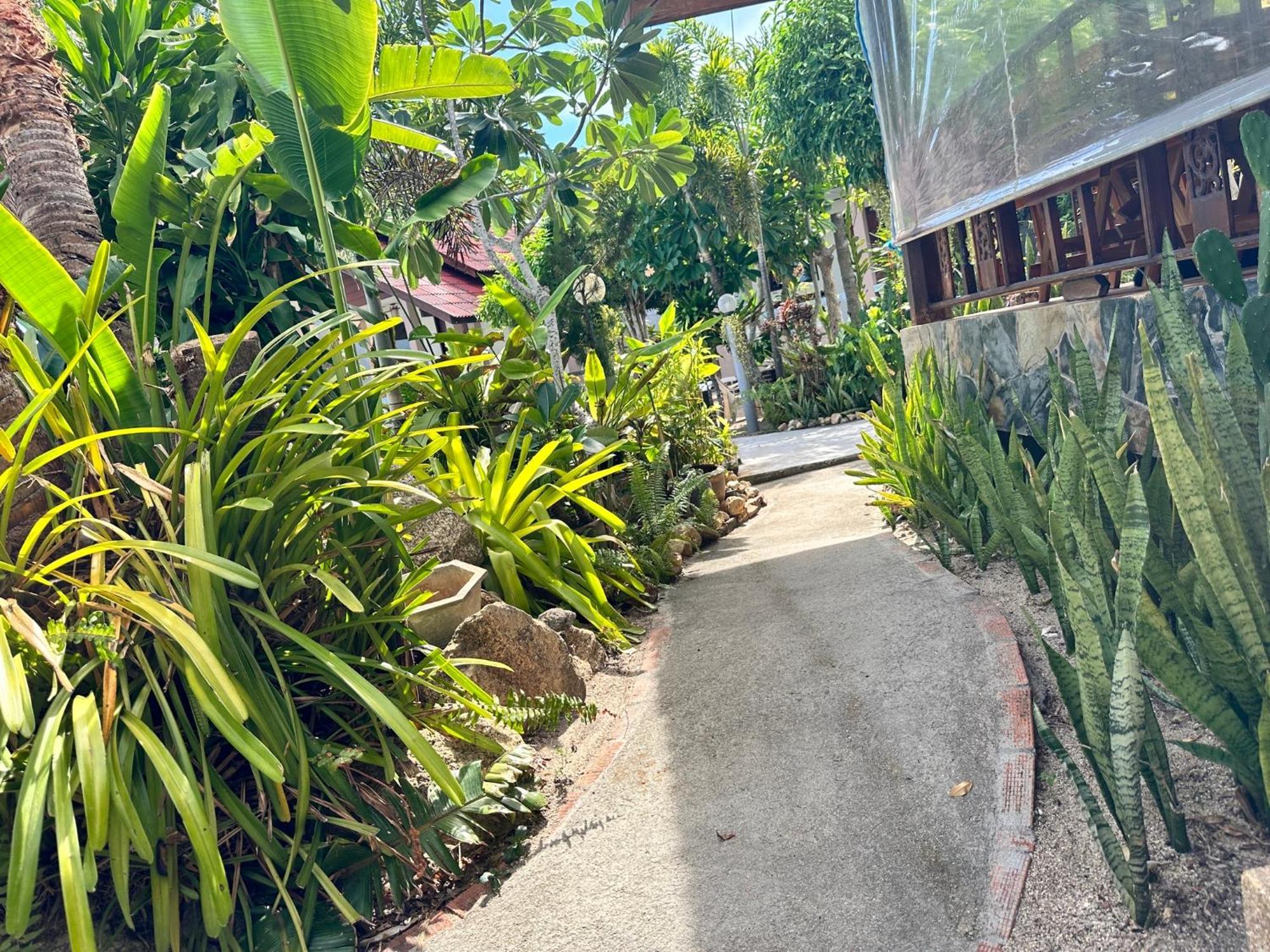 Phangan Lodge Baan Tai Dış mekan fotoğraf